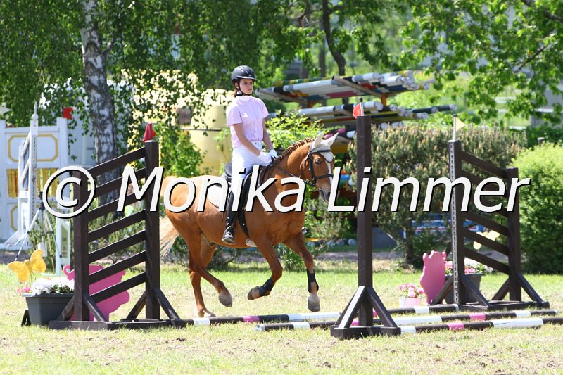 204M5850_Nobel Boy_Spring RWB.JPG